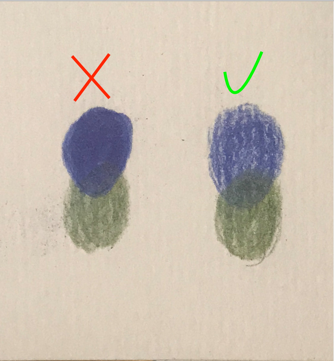 7 Colored Pencil Mistakes You May Be Making - Art-n-Fly